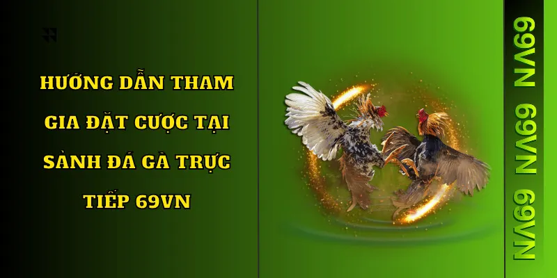 Cách tham gia đặt cược ở sảnh trực tiếp đá gà 69VN